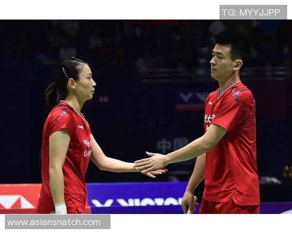 深圳羽毛球队与南京羽毛球队赛后战术分析与复盘探讨