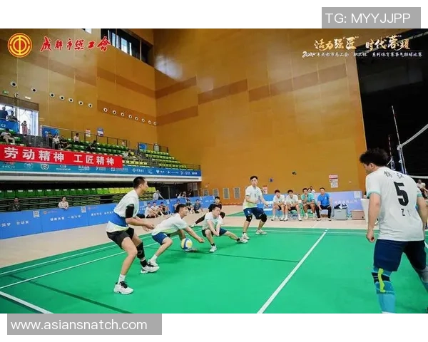 独家分析：成都排球队的配合对比