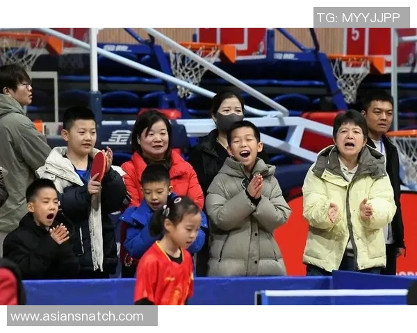 乒乓球巨献：探秘西安乒乓球队的技术