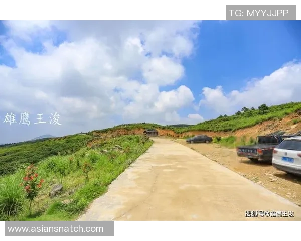 专业解读：杭州极限运动队的防反打法_1