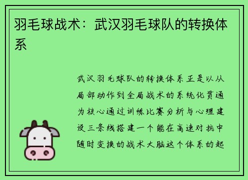 羽毛球战术：武汉羽毛球队的转换体系