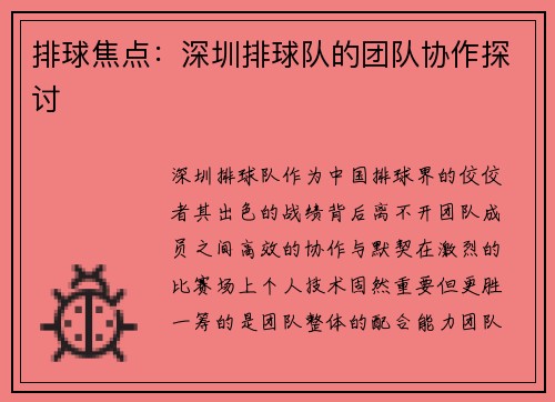 排球焦点：深圳排球队的团队协作探讨