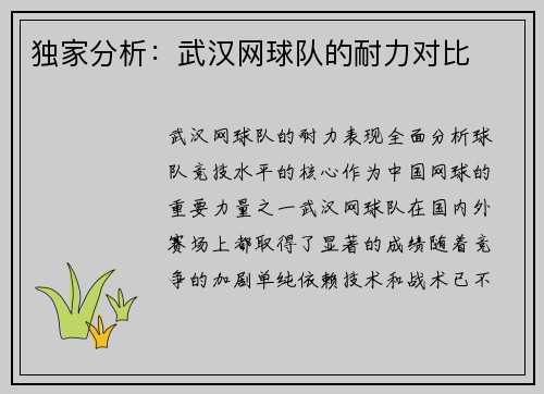 独家分析：武汉网球队的耐力对比